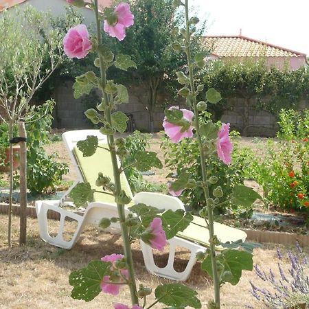Chambre D'Hote Fleur De Potager Les Sables-dʼOlonne Dış mekan fotoğraf