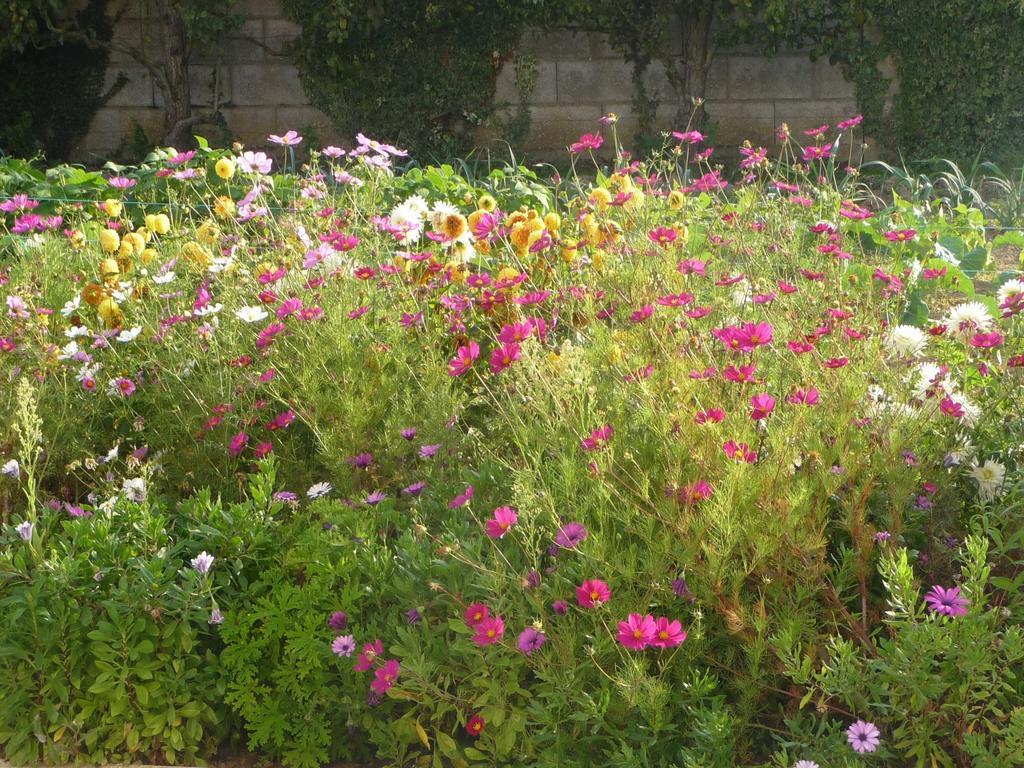 Chambre D'Hote Fleur De Potager Les Sables-dʼOlonne Dış mekan fotoğraf