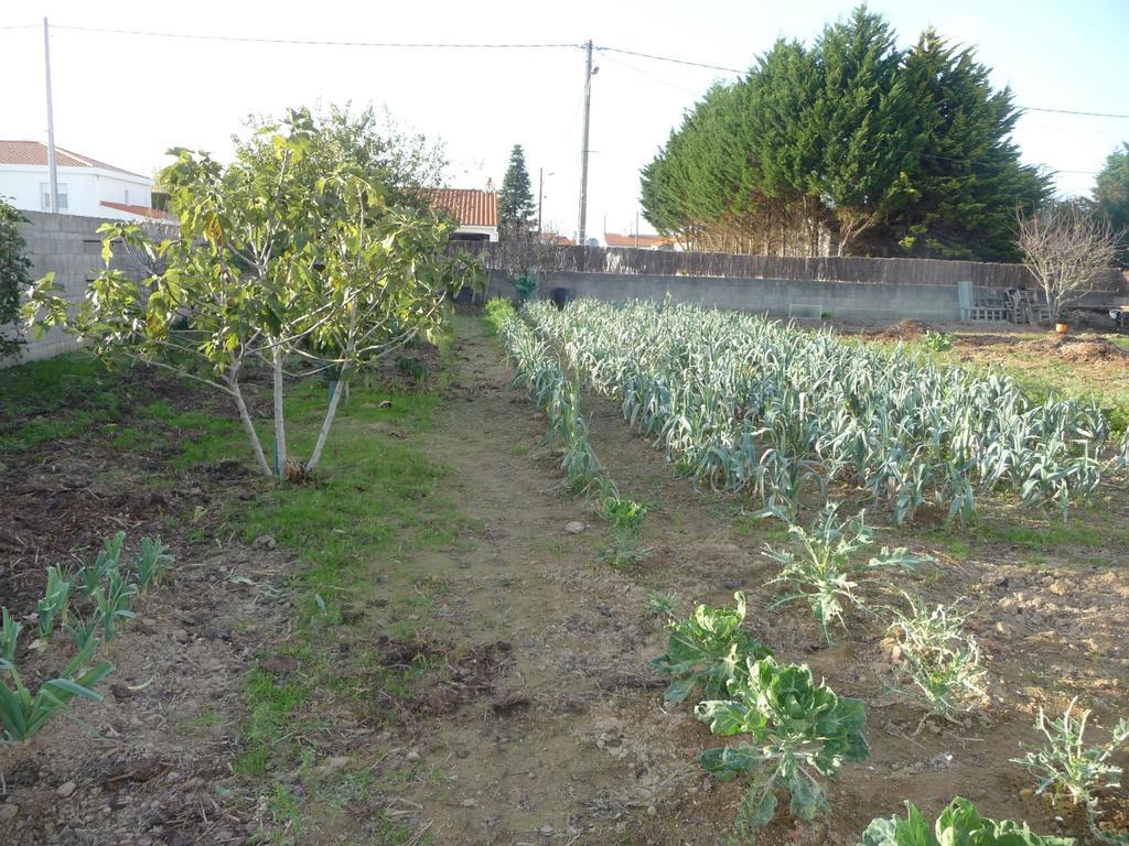 Chambre D'Hote Fleur De Potager Les Sables-dʼOlonne Dış mekan fotoğraf
