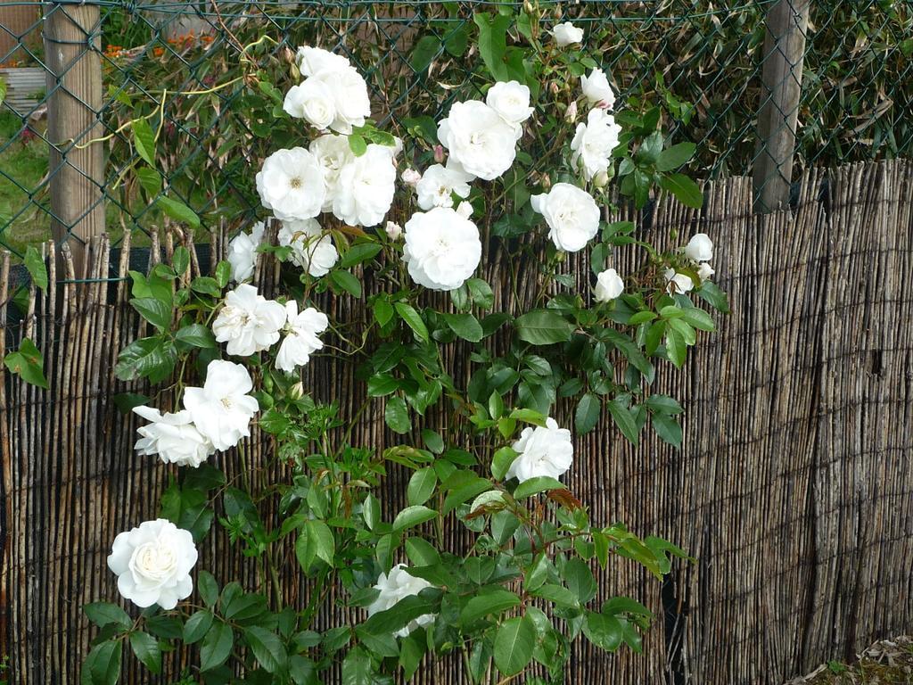 Chambre D'Hote Fleur De Potager Les Sables-dʼOlonne Dış mekan fotoğraf