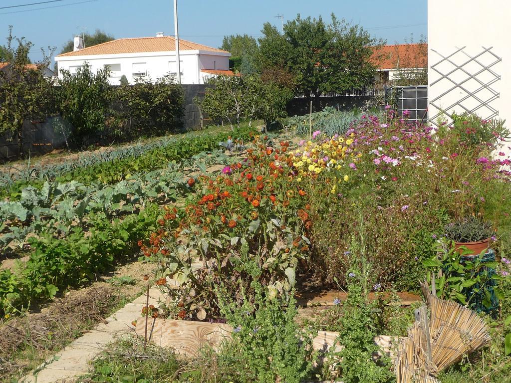 Chambre D'Hote Fleur De Potager Les Sables-dʼOlonne Dış mekan fotoğraf