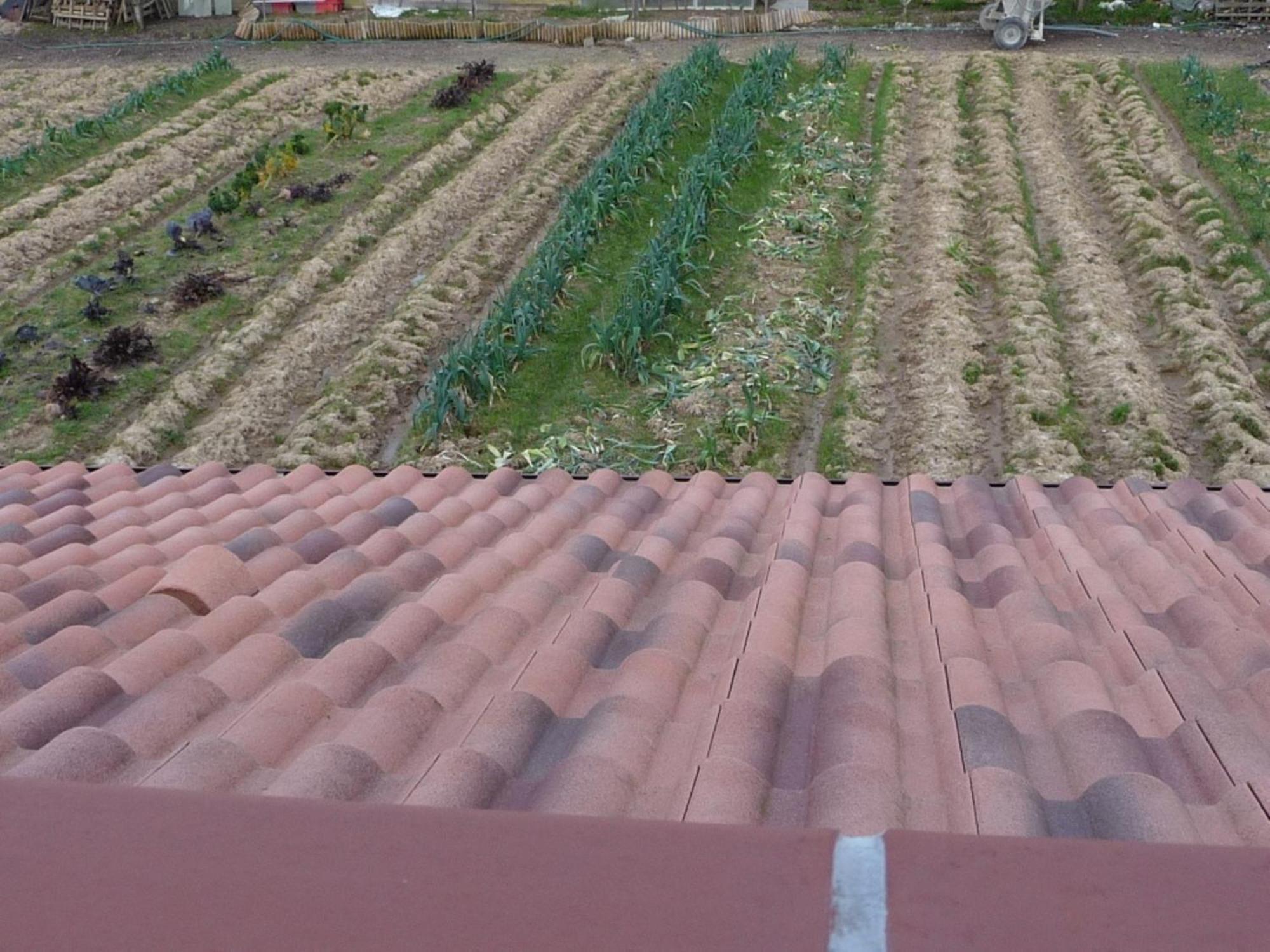 Chambre D'Hote Fleur De Potager Les Sables-dʼOlonne Dış mekan fotoğraf